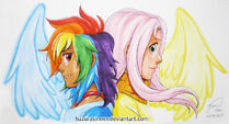 Fluttershy and Rainbow Dash