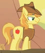 Braeburn ID S1E21