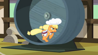 Applejack running S2E14