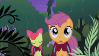 Scootaloo and Apple Bloom in the Everfree Forest S1E17