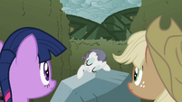 Rarity "This big beautiful bedazzling rock" S2E01