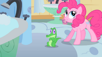 Pinkie Pie places Gummy on the floor S1E15