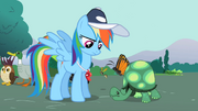 Rainbow Dash looking at Tank 2 S2E07.png