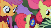 Scootaloo checks for Apple Bloom's arguing cutie mark S1E17