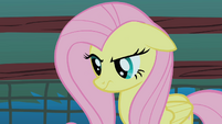 Fluttershy stare prelude S1E17