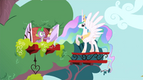 Princess Celestia S1E15