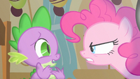 Spike tells Pinkie what she wants him to say S1E25