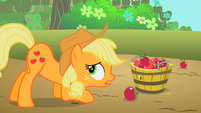 Applejack putting apples into a bucket S2E13