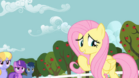 Fluttershy doesn't mind S02E15.png