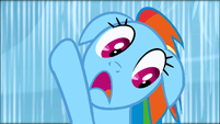 Rainbow Dash sees Rarity falling S1E16