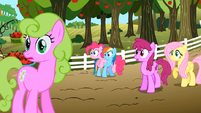 Everypony watching S02E15.png