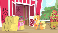 Pinkie Pie shows up from between the hay bales S1E25