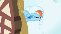 Rainbow Dash no sign S2E8