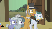 Pinkie Pie family surprised S1E23.png