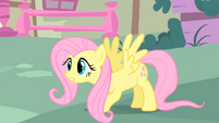 Fluttershy lands on the ground S1E17