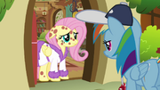 Fluttershy has fake ponypox S2E22.png