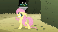 Fluttershy scanning surroundings S2E01