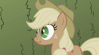 Applejack being a liar S2E01