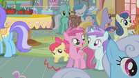 Apple Bloom hiding behind Berry Pinch S1E12