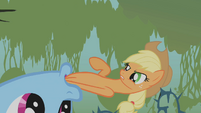 Applejack in Rainbow Dash's mouth S1E09