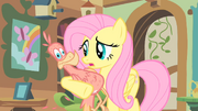 Fluttershy caring for Philomena S01E22