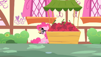 Pinkie Pie taking cover behind an apple stand S1E25