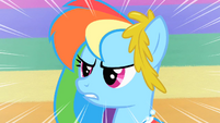 Rainbow Dash determined S1E26