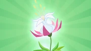 Seeds of Truth plant S2E06