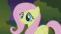 Fluttershy blocks the CMC's path S1E17