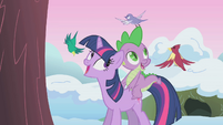 Twilight with birds S1E11