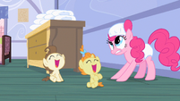 Pinkie Pie she lost S2E13