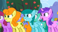 Everypony excited S02E15