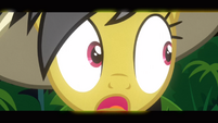 Daring Do sees the lynx S2E16