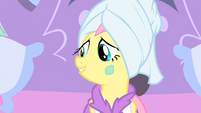 Spa treatment 2 Fluttershy S1E20