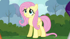 Fluttershy Character