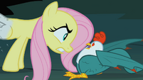 Fluttershy staring down the cockatrice S1E17