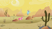 Rainbow Dash yelps S1E21