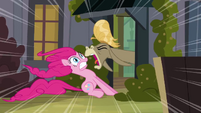 Cranky Doodle shouting at Pinkie S2E18