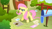 Fluttershy declare promise S2E19