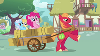 Pinkie Pie sad fillies cart Big Mac S2E18