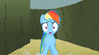 Rainbow Dash sees something S2E01