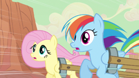 Rainbow Dash & Fluttershy see risk S2E14