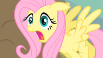 Fluttershy trips S1E19