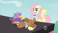 Fluttershy trying to find Applejack S2E14