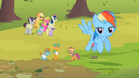 Rainbow Dash contentedly flies away S2E08