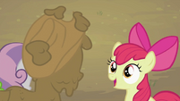 Apple Bloom 'almost won' S2E05