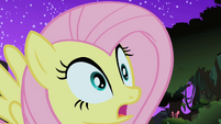 Fluttershy spots the Cockatrice S1E17