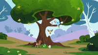 Rainbow Dash Tree S2E07