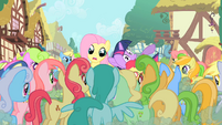 Fluttershy being mobbed S1E20