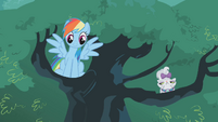 Rainbow Dash it was me S1E14